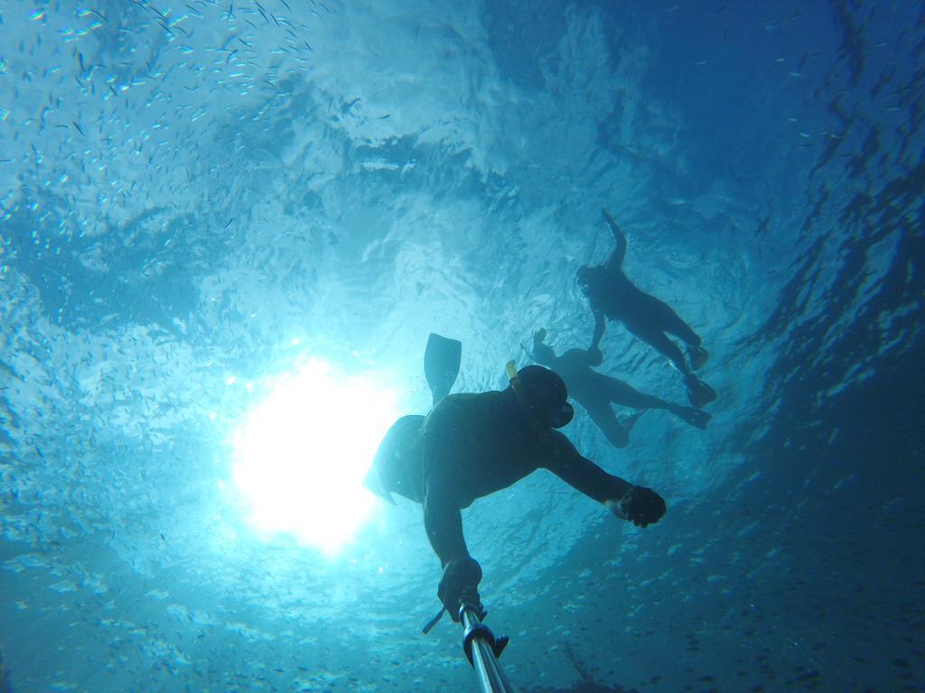 Fish Tobago Guesthouse Buccoo Zewnętrze zdjęcie