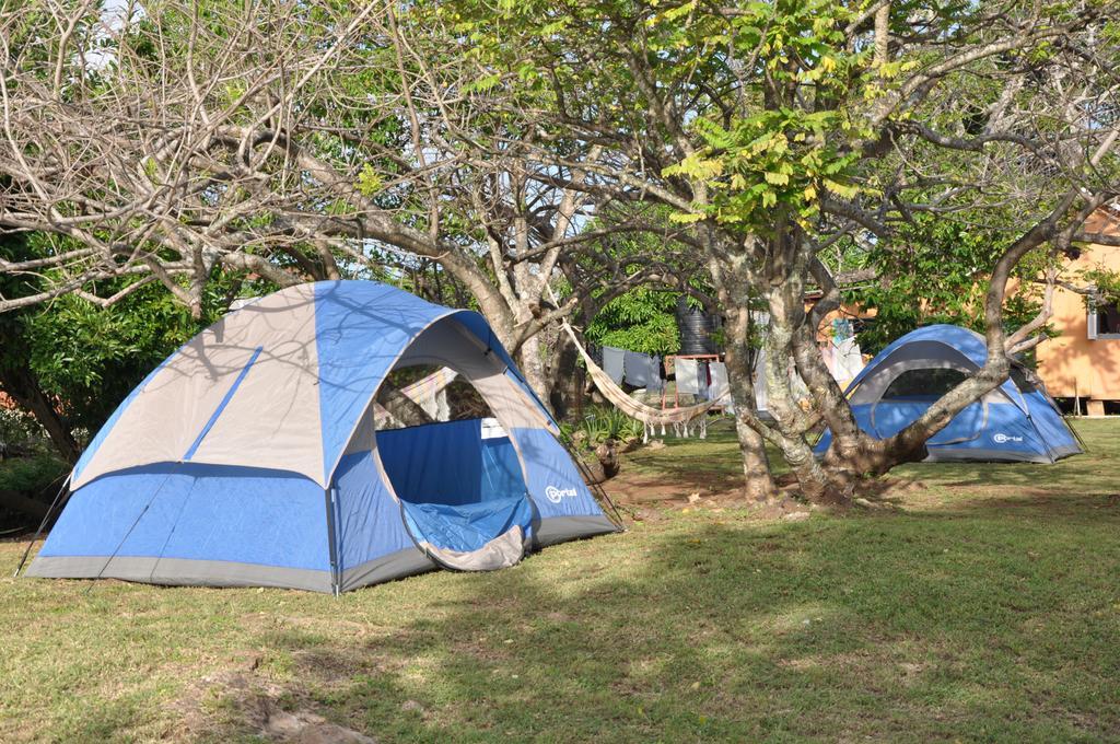 Fish Tobago Guesthouse Buccoo Zewnętrze zdjęcie